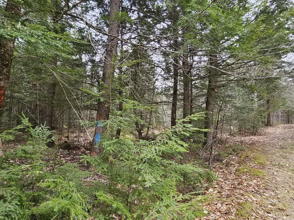 M6L22 Isthmus Road, Charleston, ME 04422
