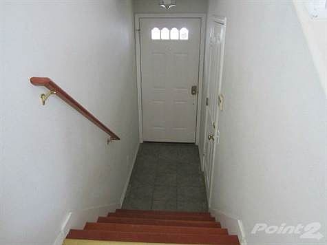 IMG_2011_640x480