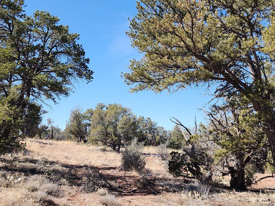 488 Juniper Wood, Ash Fork, AZ 86320 Zillow