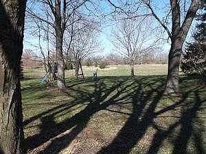 back yard