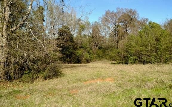 5th image of LOT 46 Highway 110 S