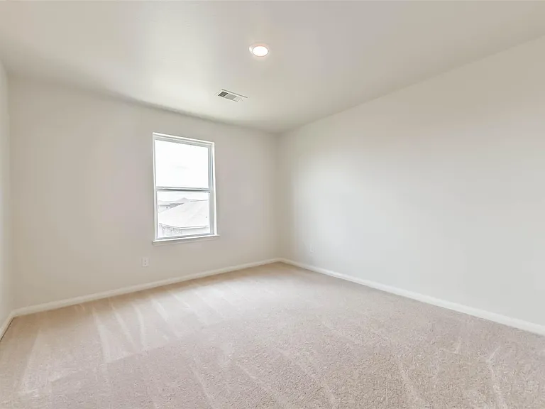 1123 Rare Fancy Dr — Photo 25