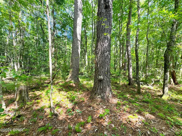 0 Gillman Rd, Westville, FL 32464