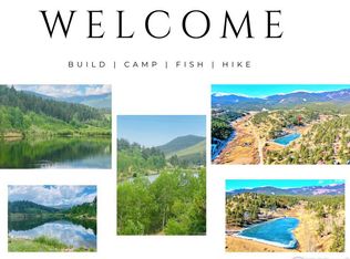 147 Ward St, Bailey, CO 80421