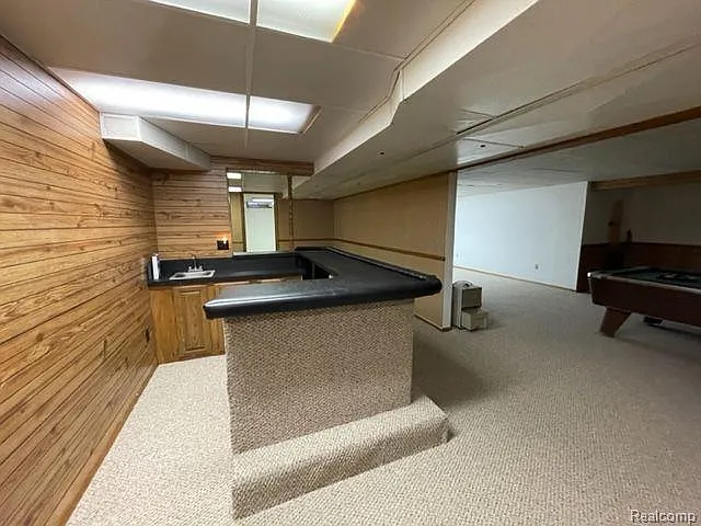 basement with bar