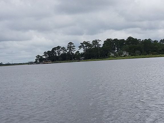 Windward Island creek side