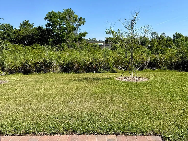 4501 Burrowing Owl Loop — Photo 12