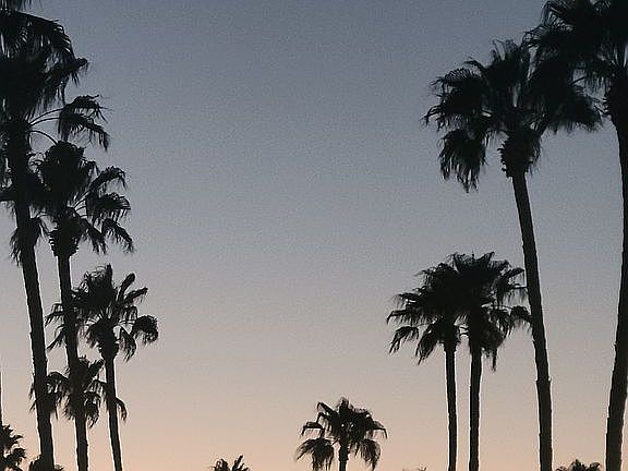 Amazing sunset pics!