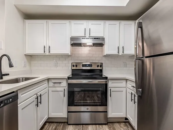 The Pines on Spring Rain