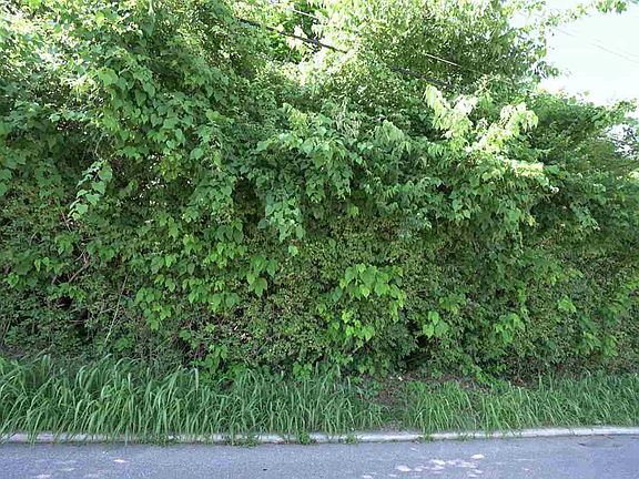 3rd image of 43-46 Kentucky Dr