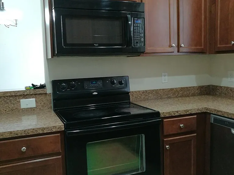 Electric oven