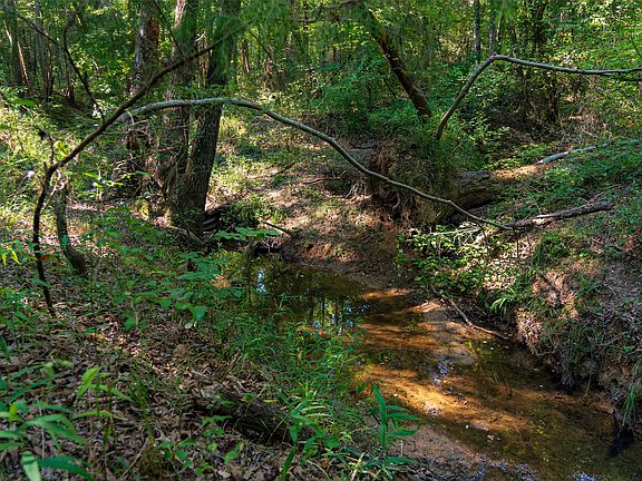 2nd image of 0 County Road 3302