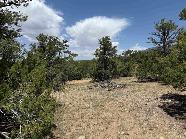Xx Bret Hale Rd, Valdez, NM 87580