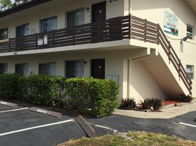 2767 Jackson St (Zivkids) Turtle Run - 6, 6