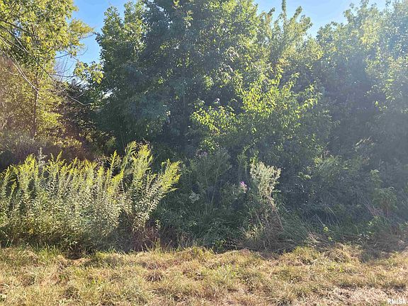 3rd image of 175 E Lang Ln