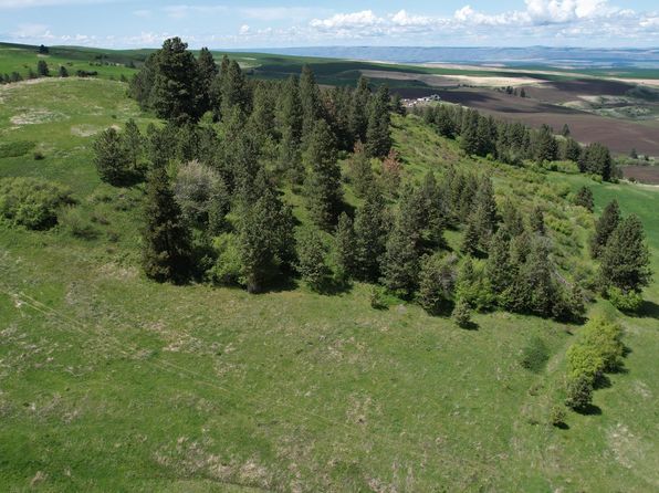 Slickpoo Rd, Culdesac, ID 83524