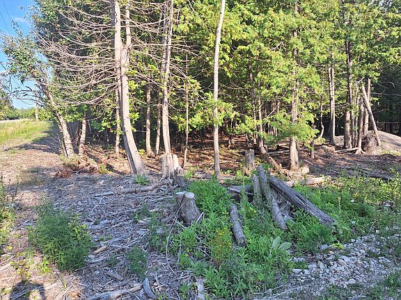 5th image of 4063 Monaghan Point Rd