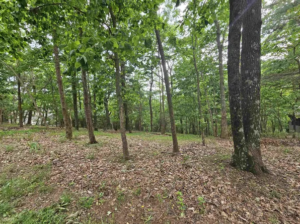 0 Ridgeview Dr, Jasper, GA 30143