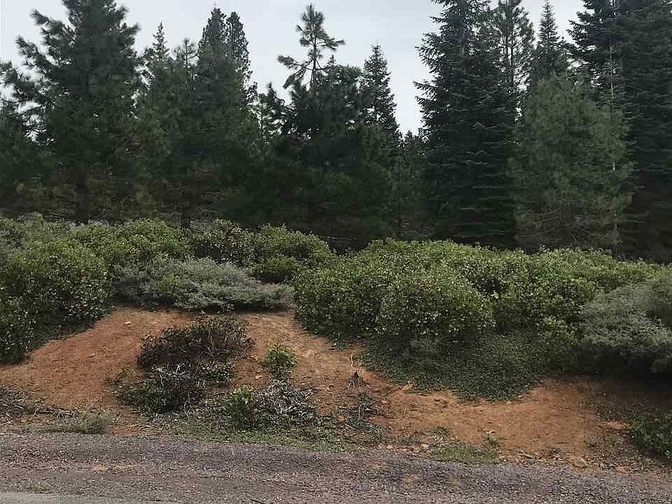 2nd image of 15 Bailey Creek Dr