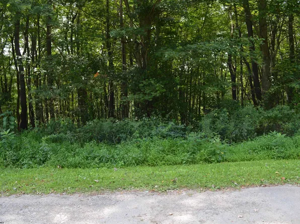 N Appalachia Dr, Bruceton Mills, WV 26525