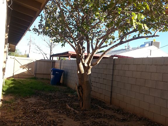 Back Yard with shade tree