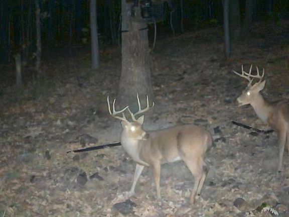 5th image of 50203 Freeman Hole Rd