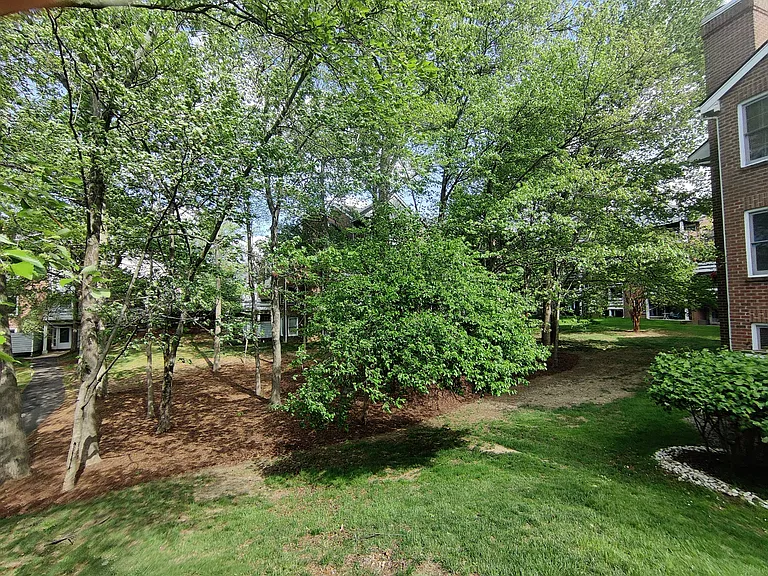 3151D Covewood Ct — Photo 19