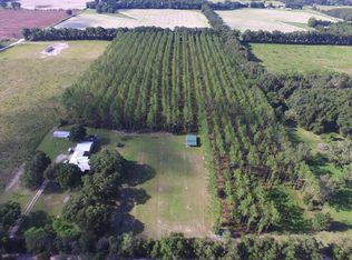 5649 NW 10th St, Bell, FL 32619
