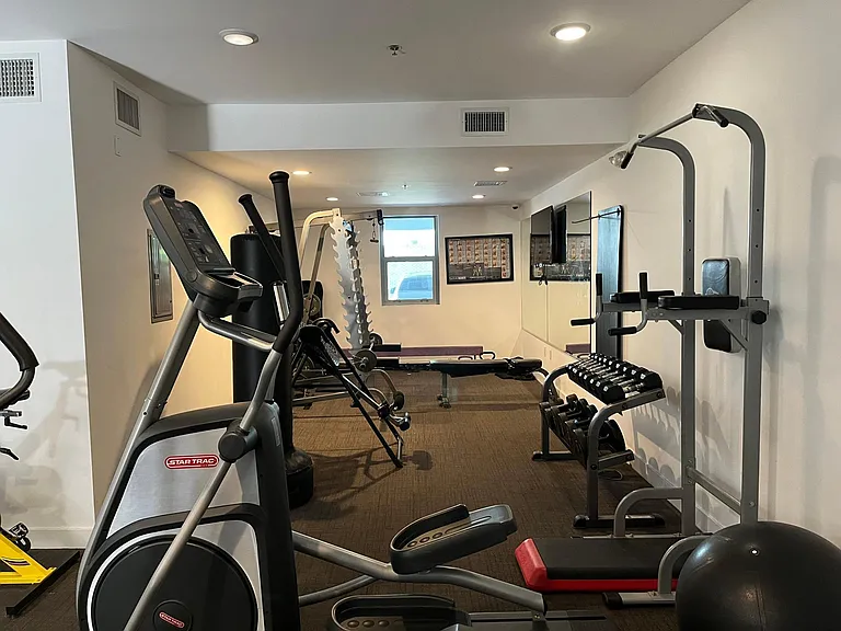 Enzo — Photo 7