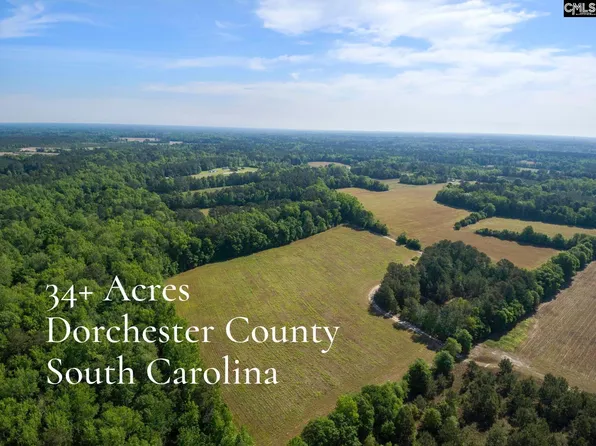New Meadow Dr, Reevesville, SC 29471
