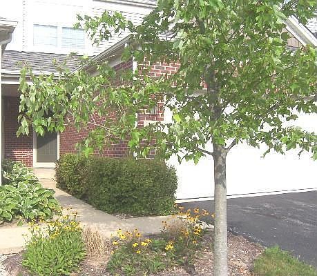 Great location. Backs to Golf Course/Open Area