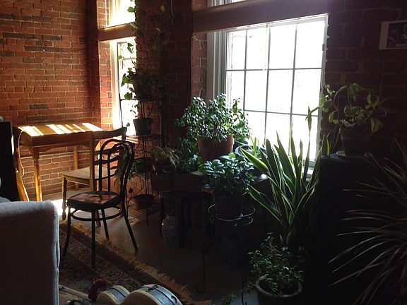 Living room windows. If you want plants you can enjoy these; if not, we will remove them before you move in.