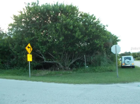 6526 Engram Rd, New Smyrna Beach, FL 32169