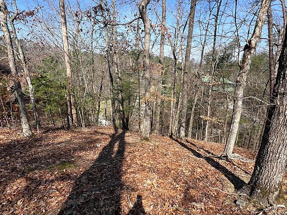 3rd image of LOT 91 Chickasaw Gap Way