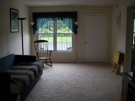 Fmaily Room New Carpet