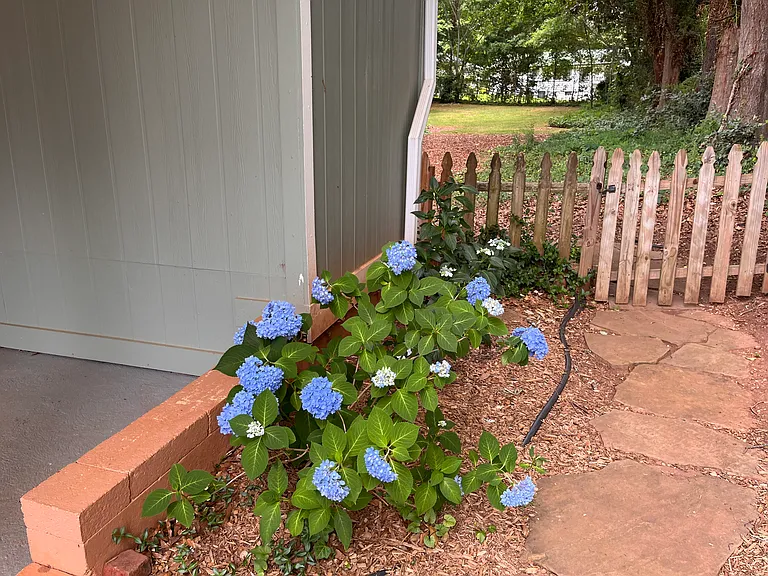 Garden Cir — Photo 14