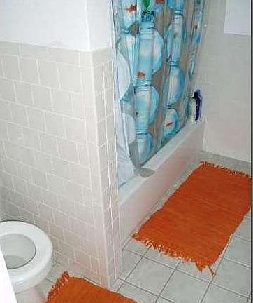 3rd image of 503 Park Dr APT 3