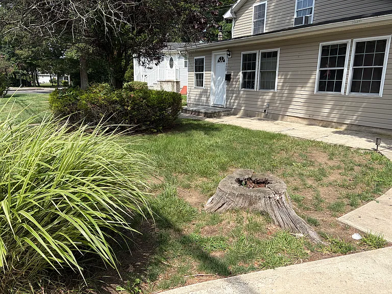 Nicolls Rd — Photo 1