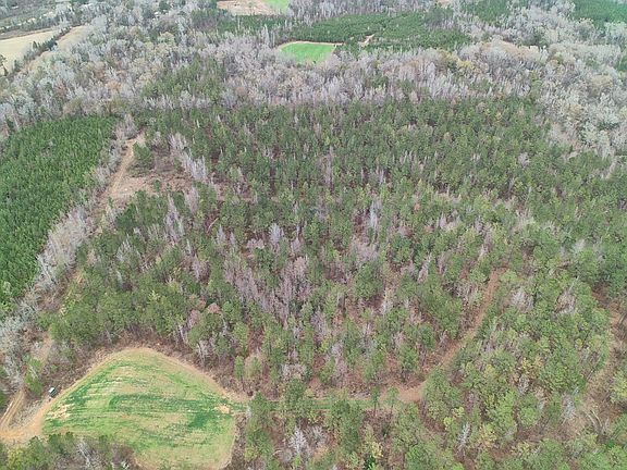 3rd image of 11039 Tallahatta Springs Rd