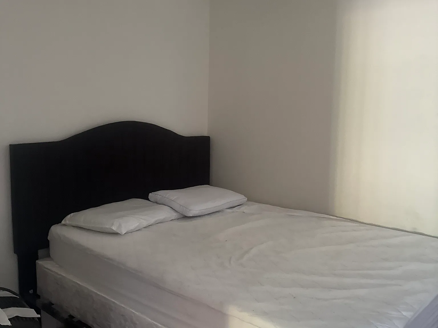 3 bed, $2,950 — Photo 3