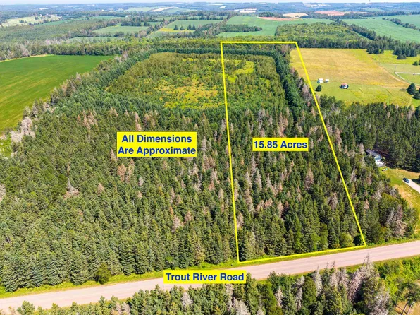 Acreage Trout River Rd, Stanley Bridge, PE C0A 1N0