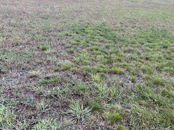 Oak St, Prudenville, MI 48651