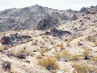 5156 Benji Ave, Joshua Tree, CA, 92252