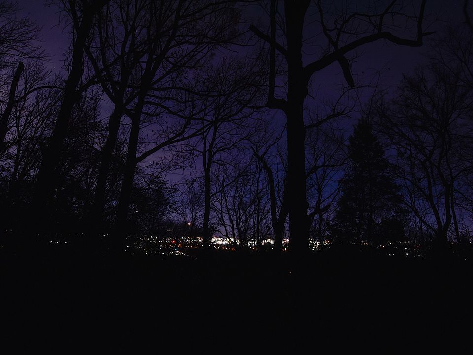 2nd image of 447 Franklin Rd