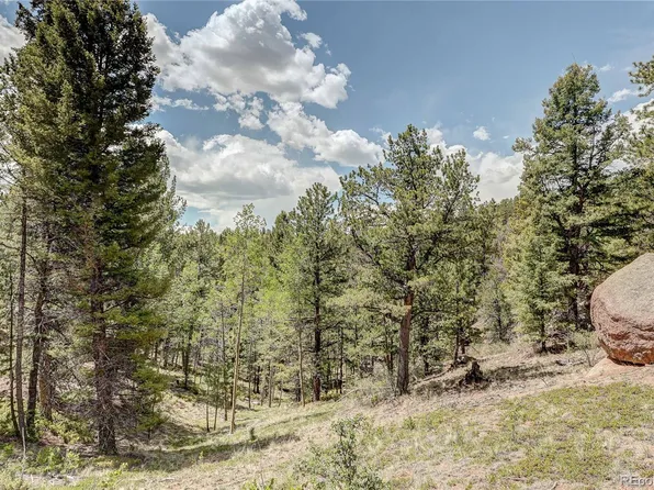 59 Robin Point, Divide, CO 80814