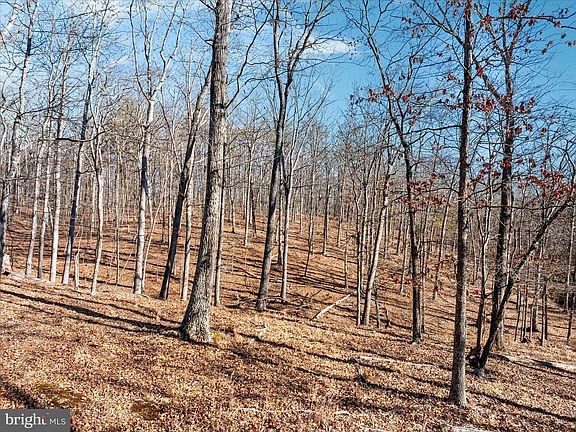 5th image of 1990 Collinsville Rd