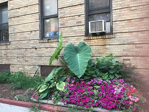 2nd image of 3563 79th St APT 1B