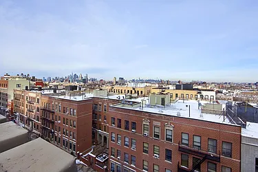 Rented by Bold New York