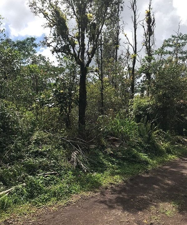1st image of Silversword Ct Lot 32
