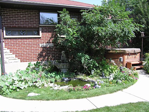 Pond & hot tub
